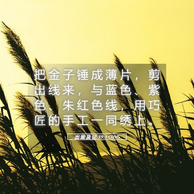 Picture 05 - 出 埃 及 记 39:3 CUVS - 把 金 子 锤 成 薄 片 ， 剪 出 线 来 - Bible Verse Picture