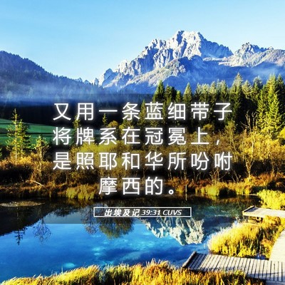 Picture 05 - 出 埃 及 记 39:31 CUVS - 又 用 一 条 蓝 细 带 子 将 牌 系 在 - Bible Verse Picture