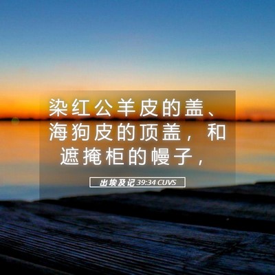 Picture 05 - 出 埃 及 记 39:34 CUVS - 染 红 公 羊 皮 的 盖 、 海 狗 皮 的 - Bible Verse Picture