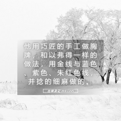 Picture 05 - 出 埃 及 记 39:8 CUVS - 他 用 巧 匠 的 手 工 做 胸 牌 ， 和 - Bible Verse Picture