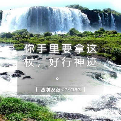 Picture 05 - 出 埃 及 记 4:17 CUVS - 你 手 里 要 拿 这 杖 ， 好 行 神 迹 - Bible Verse Picture