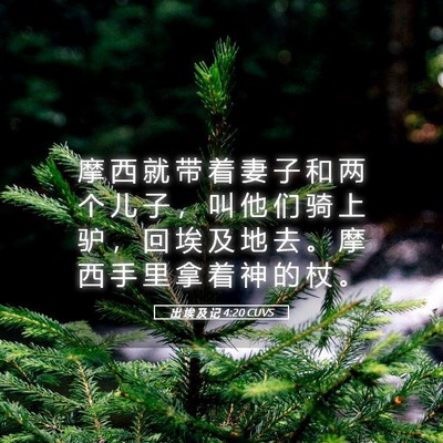 Picture 05 - 出 埃 及 记 4:20 CUVS - 摩 西 就 带 着 妻 子 和 两 个 儿 子 - Bible Verse Picture