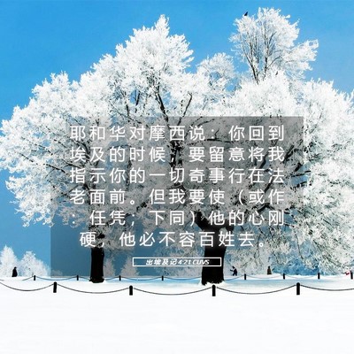 Picture 05 - 出 埃 及 记 4:21 CUVS - 耶 和 华 对 摩 西 说 ： 你 回 到 埃 - Bible Verse Picture