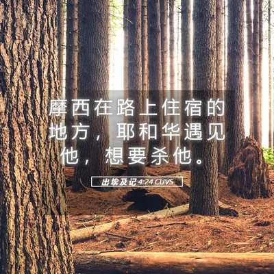 Picture 05 - 出 埃 及 记 4:24 CUVS - 摩 西 在 路 上 住 宿 的 地 方 ， 耶 - Bible Verse Picture