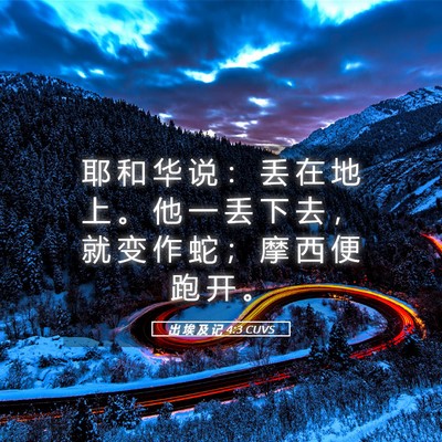 Picture 05 - 出 埃 及 记 4:3 CUVS - 耶 和 华 说 ： 丢 在 地 上 。 他 一 - Bible Verse Picture