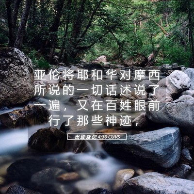Picture 05 - 出 埃 及 记 4:30 CUVS - 亚 伦 将 耶 和 华 对 摩 西 所 说 的 - Bible Verse Picture