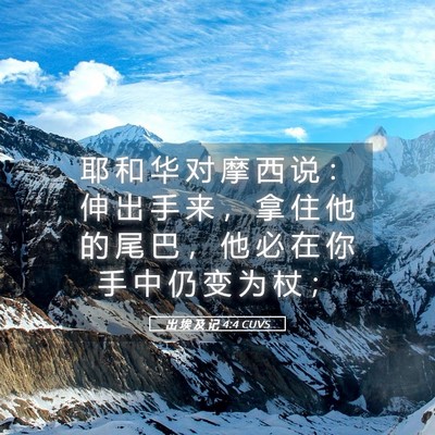 Picture 05 - 出 埃 及 记 4:4 CUVS - 耶 和 华 对 摩 西 说 ： 伸 出 手 来 - Bible Verse Picture