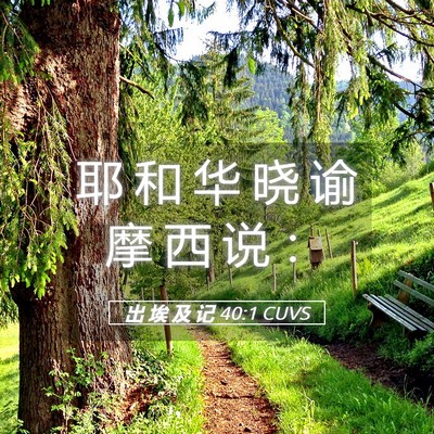 Picture 05 - 出 埃 及 记 40:1 CUVS - 耶 和 华 晓 谕 摩 西 说 - Bible Verse Picture