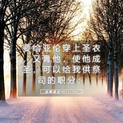 Picture 05 - 出 埃 及 记 40:13 CUVS - 要 给 亚 伦 穿 上 圣 衣 ， 又 膏 他 - Bible Verse Picture