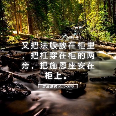 Picture 05 - 出 埃 及 记 40:20 CUVS - 又 把 法 版 放 在 柜 里 ， 把 杠 穿 - Bible Verse Picture