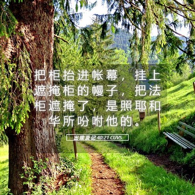 Picture 05 - 出 埃 及 记 40:21 CUVS - 把 柜 抬 进 帐 幕 ， 挂 上 遮 掩 柜 - Bible Verse Picture