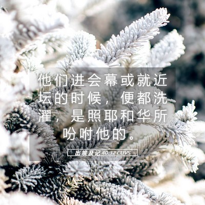 Picture 05 - 出 埃 及 记 40:32 CUVS - 他 们 进 会 幕 或 就 近 坛 的 时 候 - Bible Verse Picture