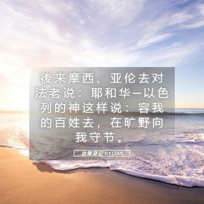 Picture 05 - 出 埃 及 记 5:1 CUVS - 後 来 摩 西 、 亚 伦 去 对 法 老 说 - Bible Verse Picture