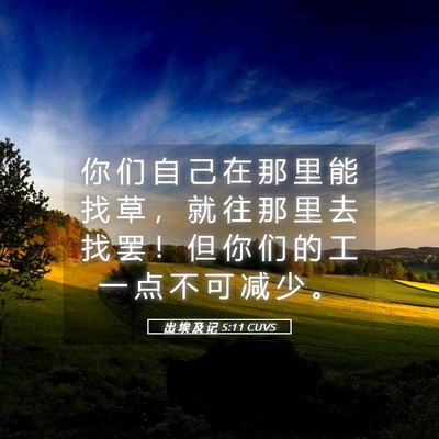 Picture 05 - 出 埃 及 记 5:11 CUVS - 你 们 自 己 在 那 里 能 找 草 ， 就 - Bible Verse Picture