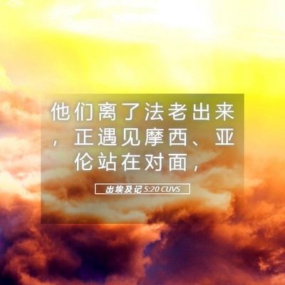 Picture 05 - 出 埃 及 记 5:20 CUVS - 他 们 离 了 法 老 出 来 ， 正 遇 见 - Bible Verse Picture