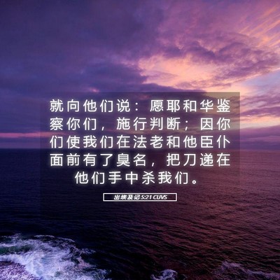 Picture 05 - 出 埃 及 记 5:21 CUVS - 就 向 他 们 说 ： 愿 耶 和 华 鉴 察 - Bible Verse Picture