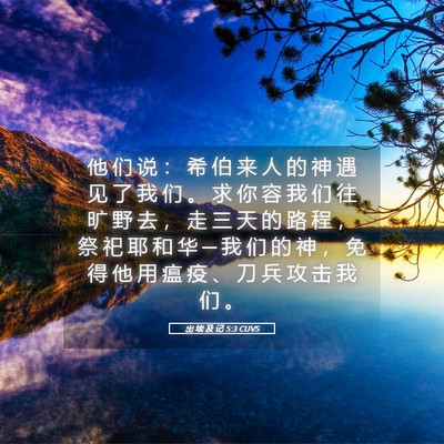 Picture 05 - 出 埃 及 记 5:3 CUVS - 他 们 说 ： 希 伯 来 人 的 神 遇 见 - Bible Verse Picture