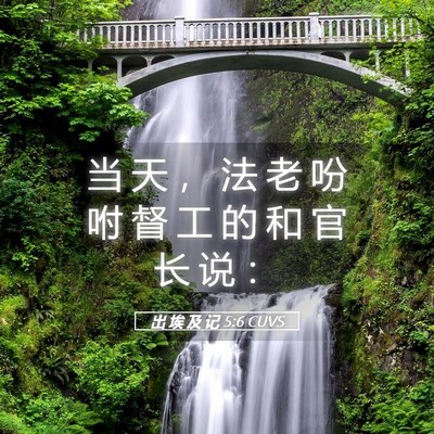 Picture 05 - 出 埃 及 记 5:6 CUVS - 当 天 ， 法 老 吩 咐 督 工 的 和 官 - Bible Verse Picture