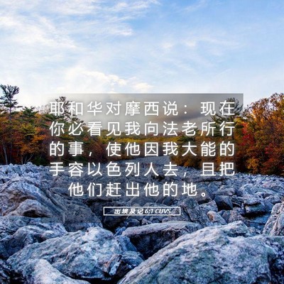 Picture 05 - 出 埃 及 记 6:1 CUVS - 耶 和 华 对 摩 西 说 ： 现 在 你 必 - Bible Verse Picture