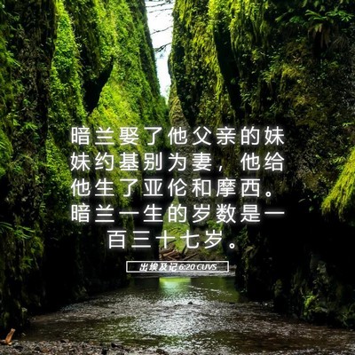 Picture 05 - 出 埃 及 记 6:20 CUVS - 暗 兰 娶 了 他 父 亲 的 妹 妹 约 基 - Bible Verse Picture