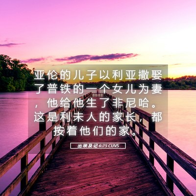 Picture 05 - 出 埃 及 记 6:25 CUVS - 亚 伦 的 儿 子 以 利 亚 撒 娶 了 普 - Bible Verse Picture