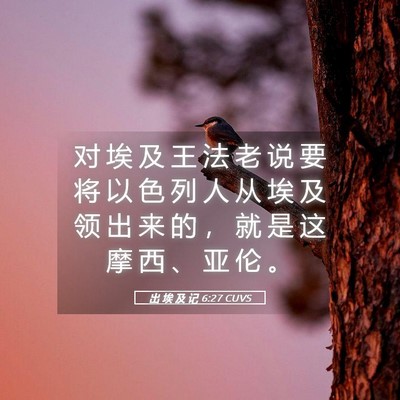 Picture 05 - 出 埃 及 记 6:27 CUVS - 对 埃 及 王 法 老 说 要 将 以 色 列 - Bible Verse Picture