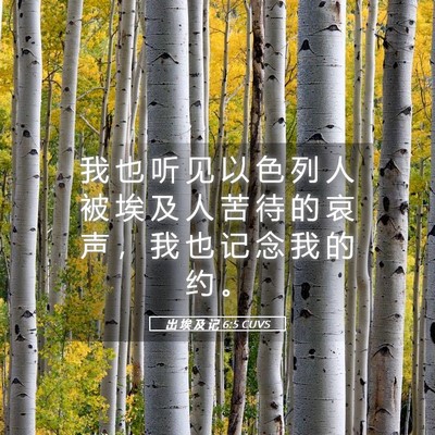 Picture 05 - 出 埃 及 记 6:5 CUVS - 我 也 听 见 以 色 列 人 被 埃 及 人 - Bible Verse Picture