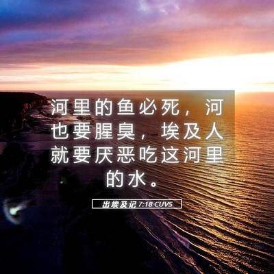 Picture 05 - 出 埃 及 记 7:18 CUVS - 河 里 的 鱼 必 死 ， 河 也 要 腥 臭 - Bible Verse Picture