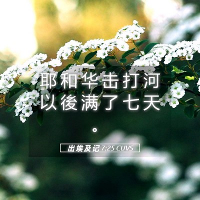 Picture 05 - 出 埃 及 记 7:25 CUVS - 耶 和 华 击 打 河 以 後 满 了 七 天 - Bible Verse Picture