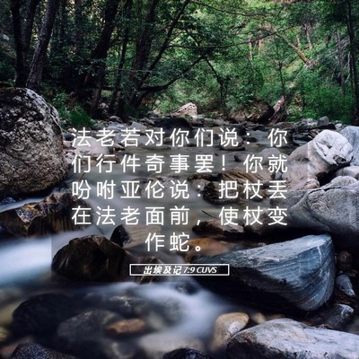 Picture 05 - 出 埃 及 记 7:9 CUVS - 法 老 若 对 你 们 说 ： 你 们 行 件 - Bible Verse Picture