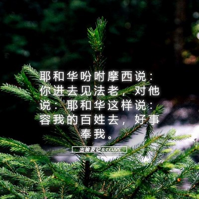 Picture 05 - 出 埃 及 记 8:1 CUVS - 耶 和 华 吩 咐 摩 西 说 ： 你 进 去 - Bible Verse Picture