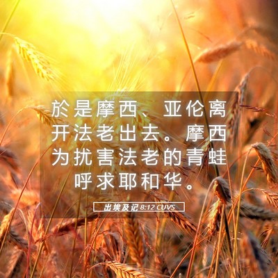 Picture 05 - 出 埃 及 记 8:12 CUVS - 於 是 摩 西 、 亚 伦 离 开 法 老 出 - Bible Verse Picture