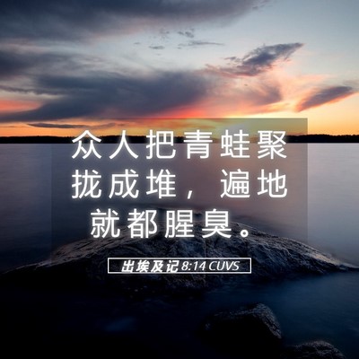 Picture 05 - 出 埃 及 记 8:14 CUVS - 众 人 把 青 蛙 聚 拢 成 堆 ， 遍 地 - Bible Verse Picture