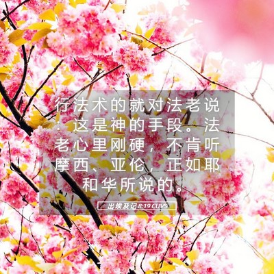 Picture 05 - 出 埃 及 记 8:19 CUVS - 行 法 术 的 就 对 法 老 说 ： 这 是 - Bible Verse Picture