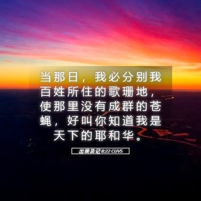 Picture 05 - 出 埃 及 记 8:22 CUVS - 当 那 日 ， 我 必 分 别 我 百 姓 所 - Bible Verse Picture