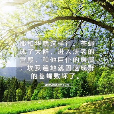 Picture 05 - 出 埃 及 记 8:24 CUVS - 耶 和 华 就 这 样 行 。 苍 蝇 成 了 - Bible Verse Picture