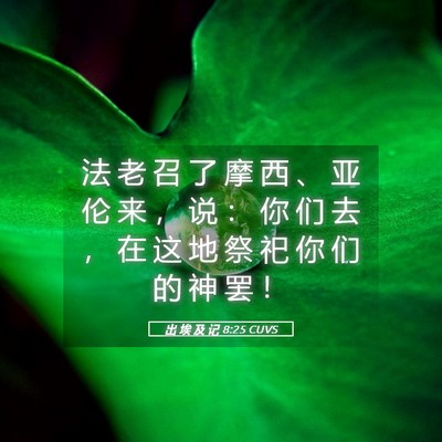 Picture 05 - 出 埃 及 记 8:25 CUVS - 法 老 召 了 摩 西 、 亚 伦 来 ， 说 - Bible Verse Picture