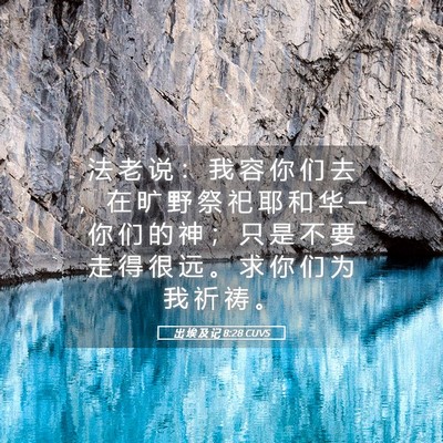 Picture 05 - 出 埃 及 记 8:28 CUVS - 法 老 说 ： 我 容 你 们 去 ， 在 旷 - Bible Verse Picture