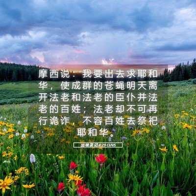 Picture 05 - 出 埃 及 记 8:29 CUVS - 摩 西 说 ： 我 要 出 去 求 耶 和 华 - Bible Verse Picture