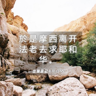 Picture 05 - 出 埃 及 记 8:30 CUVS - 於 是 摩 西 离 开 法 老 去 求 耶 和 - Bible Verse Picture