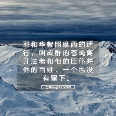 Picture 05 - 出 埃 及 记 8:31 CUVS - 耶 和 华 就 照 摩 西 的 话 行 ， 叫 - Bible Verse Picture