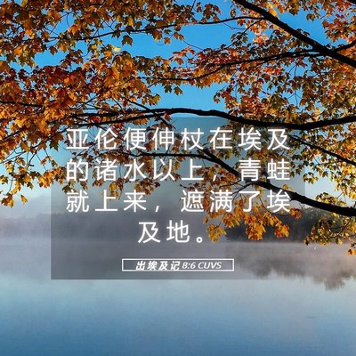 Picture 05 - 出 埃 及 记 8:6 CUVS - 亚 伦 便 伸 杖 在 埃 及 的 诸 水 以 - Bible Verse Picture