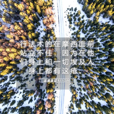 Picture 05 - 出 埃 及 记 9:11 CUVS - 行 法 术 的 在 摩 西 面 前 站 立 不 - Bible Verse Picture