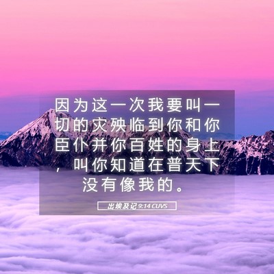 Picture 05 - 出 埃 及 记 9:14 CUVS - 因 为 这 一 次 我 要 叫 一 切 的 灾 - Bible Verse Picture
