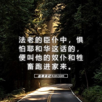 Picture 05 - 出 埃 及 记 9:20 CUVS - 法 老 的 臣 仆 中 ， 惧 怕 耶 和 华 - Bible Verse Picture