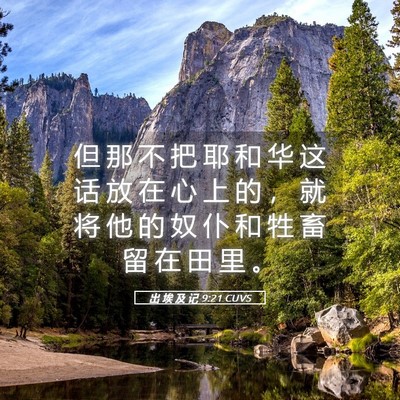 Picture 05 - 出 埃 及 记 9:21 CUVS - 但 那 不 把 耶 和 华 这 话 放 在 心 - Bible Verse Picture