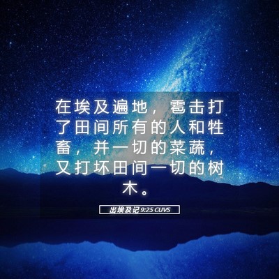 Picture 05 - 出 埃 及 记 9:25 CUVS - 在 埃 及 遍 地 ， 雹 击 打 了 田 间 - Bible Verse Picture