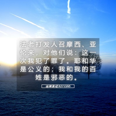 Picture 05 - 出 埃 及 记 9:27 CUVS - 法 老 打 发 人 召 摩 西 、 亚 伦 来 - Bible Verse Picture
