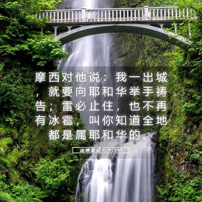Picture 05 - 出 埃 及 记 9:29 CUVS - 摩 西 对 他 说 ： 我 一 出 城 ， 就 - Bible Verse Picture