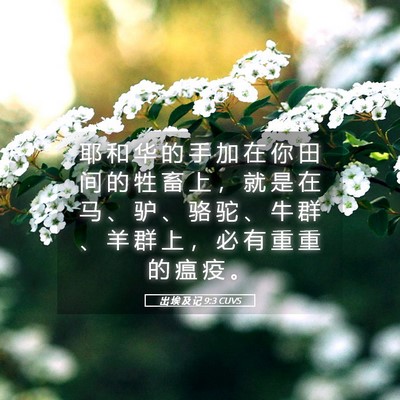Picture 05 - 出 埃 及 记 9:3 CUVS - 耶 和 华 的 手 加 在 你 田 间 的 牲 - Bible Verse Picture